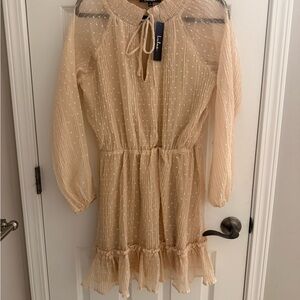 Lulu's Cream Sheer Long Sleeve Dress